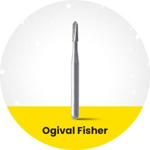 Carbide Ogival Fisher