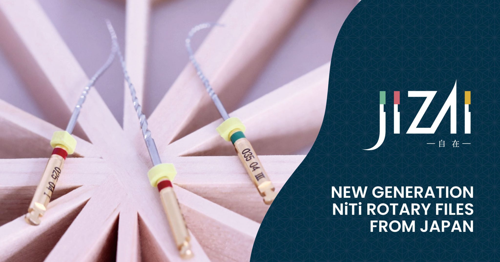MANI Banner website-002-04